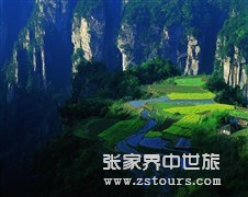 楊家(jiā)界