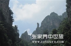 十采藥老(lǎo)人(rén).jpg