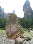 森(sēn)林(lín)公園
