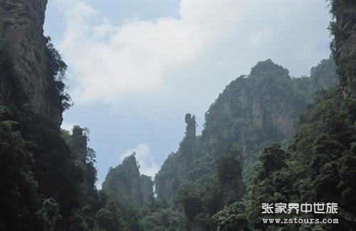 十采藥老(lǎo)人(rén).jpg