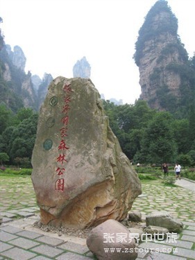 森(sēn)林(lín)公園